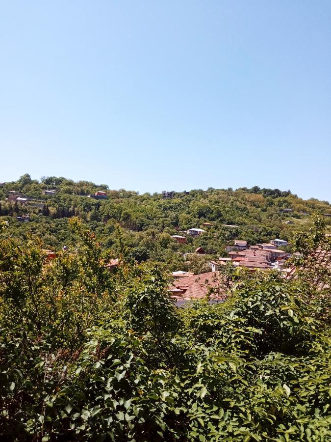 Kizikis Kari Hotell Sighnaghi Exteriör bild